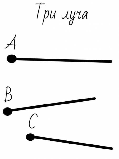 Запиши два отрезка три прямые и три луча