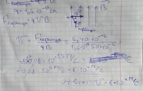 На протон, движущийся в однородном магнитном поле перпендикулярно линиям индукции поля, действует си