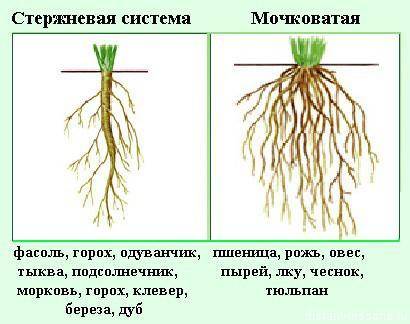 Сделать лабораторную работу завтра уже надо сдавать (