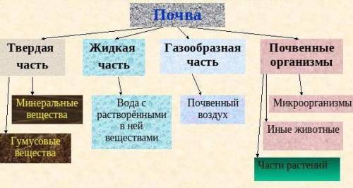 (по плану) почва- 1. что такое. 2. состав. 3. условия существования. 4.(по плану) животное- 1. много