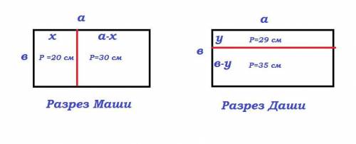 Умаши и даши были два одинаковых прямоугольника. каждая разрезала свой прямоугольник на два прямоуго