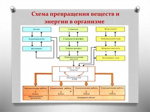 Был все или 35п омогите 7. 8. 9. 10. коротко ясно ​