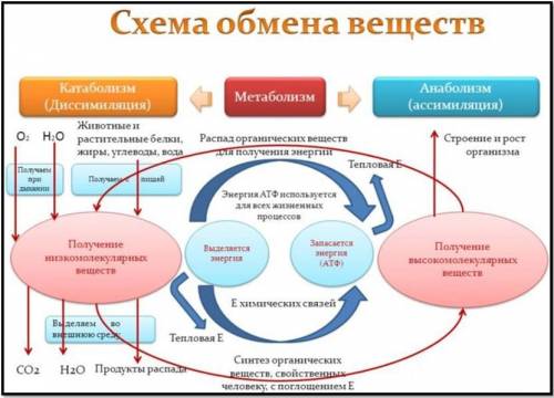 Был все или 35п омогите 7. 8. 9. 10. коротко ясно ​
