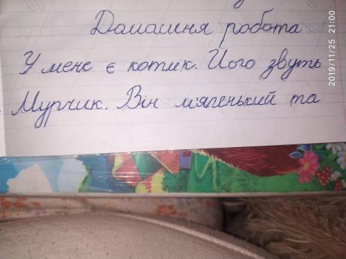 Складіть цікаву історію про життя ваших іх тварин,коротко про котика