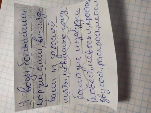 Сделать синтаксический разбор данного предложения: у воды большими корзинами выглядывали из заросле
