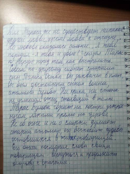 Написать сочинение о тараса бульбы ​