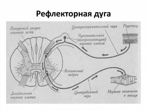 Номер 1 2 3 под ■ . заранее большое. !