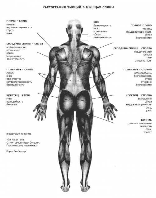 Записать какие мышцы отвечают за какие эмоции (эмоции обозначить смайликами)