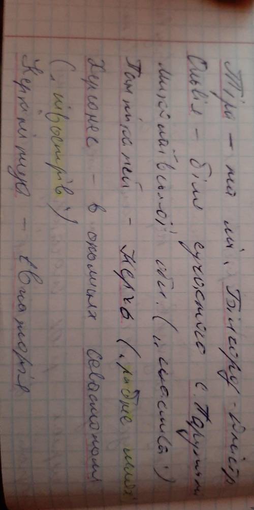 Де з'явилися перші середньовічні міста? (розгорнута відповідь)​