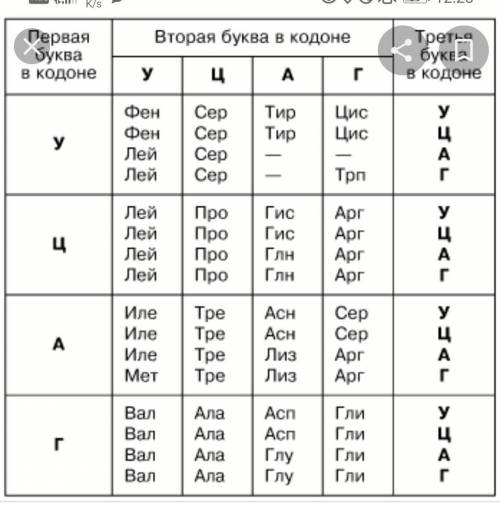 Фрагмент цепи днк имеет последовательность нуклеотидов: 5--3. в результате произошедшей мутации в ч