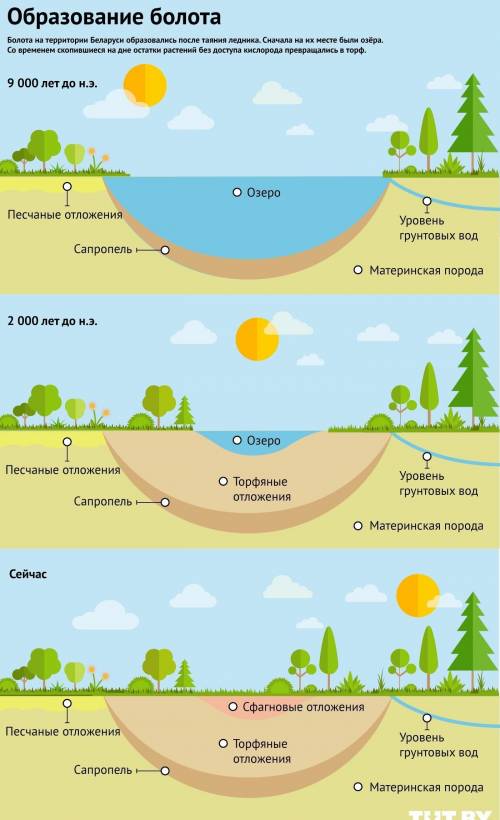 Что происходит в болтах? составить схему. нужно, .буду ​