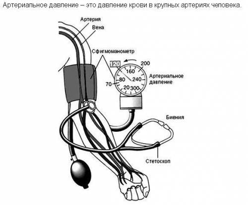 Лабораторная работа измерение кровеного давления