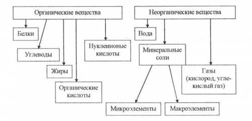 Кнеорганическим веществам клетки относят белки, углеводы и минеральные соли. верно или не верно?