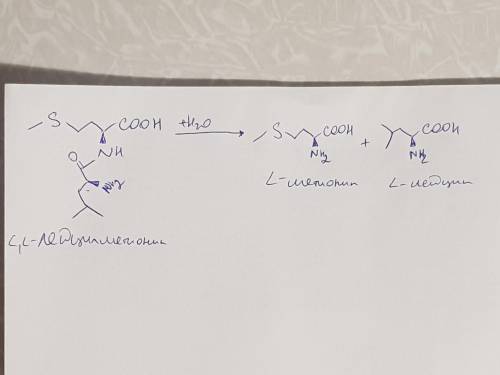 40 . напишите реакцию гидролиза лейцилметионина. , чтоб было понятно что куда. а то не бум бум в . м