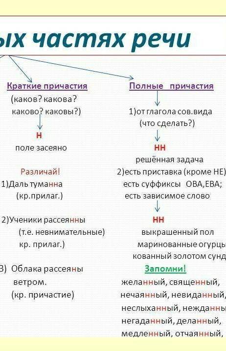 ответить на вопросы к зачёту по языку кратко