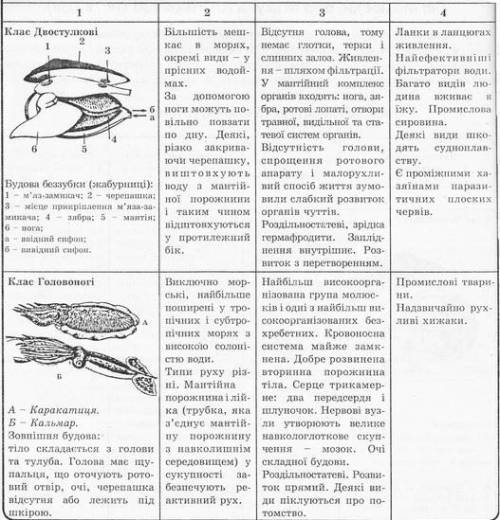 ответьте как заполнить таблицу