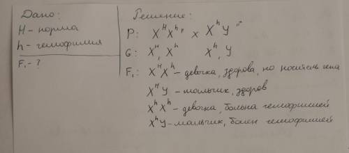 Здоровая женщина мать которой тоже была здоровой а отец был гемофилетиком вышла за муж гемофилией