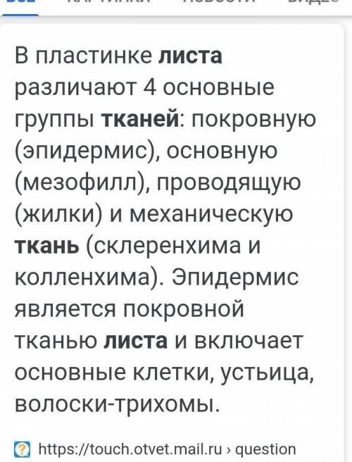 Какие ткани входят в состав жилок листьев растений?