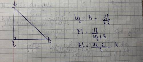 Дан прямоугольный треугольник с прямым углом c . ac=14, тангенс угла b = 7/2. найти bc