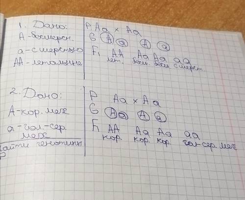 1. у мексиканской собаки отсутствие шерсти является доминантным признаком. Гомозиготы по этой аллели