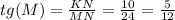 tg(M)=\frac{KN}{MN}=\frac{10}{24} =\frac{5}{12}