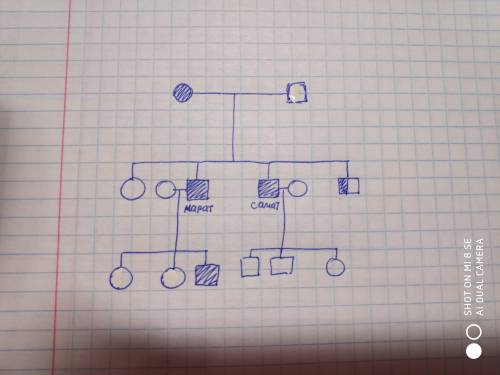1. Составьте графическое изображение родословной.Марат и Самат - родные братья, и оба как и их мать,