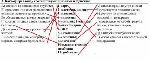 очень нужно! 1 Элементарная биологическая система к самообновлению: 1) мышечное волокно сердца 2) к