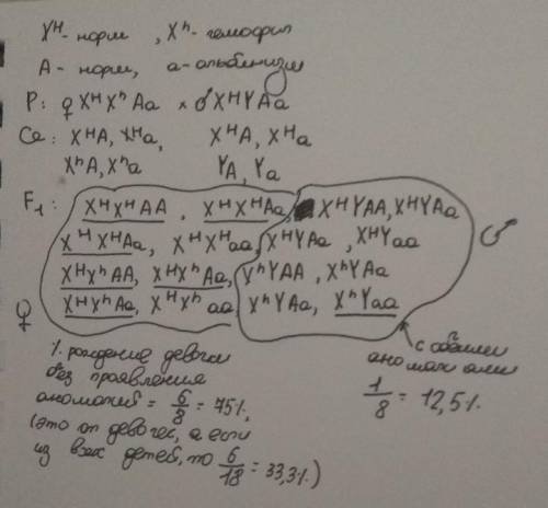 У людини гемофілія (h) – рецесивна, зчеплена з Х-хромосомою ознака. Альбінізм зумовлений аутосомним