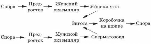 только второе задание. Очченнь