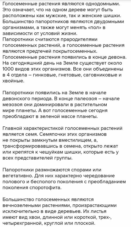 Почему большинство голосеменных растений значительно выше папоротникообразных растений?