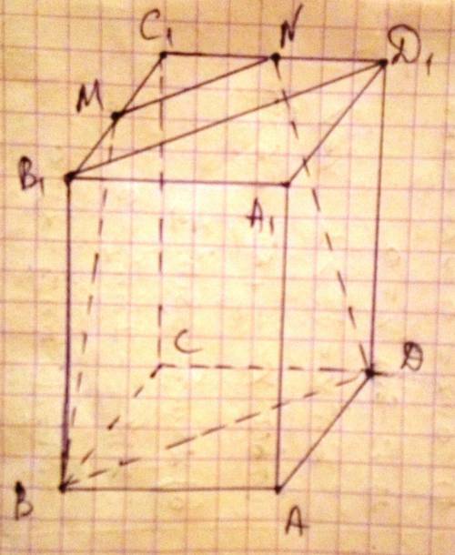 Докажи, что сечение правильного прямоугольного параллелепипеда ABCDA1B1C1D1, проведённое через B, D