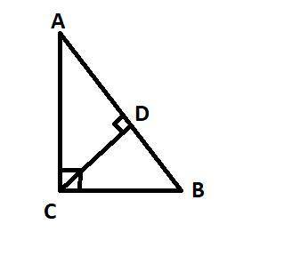 У треугольника ABC угол С = 90 градусам. Высота CD образует с катетом АС угол, равный 43 градусам. Н