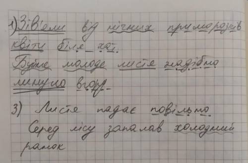 Ось це фото самостійної роботи, потрібно зробити лише те, що для другого варіанту. Дякую!