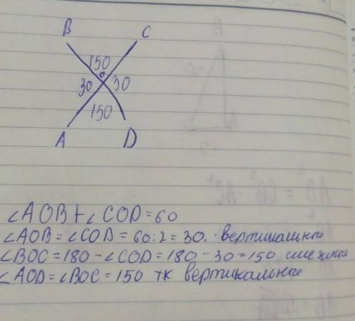 Сумма данного угла и вертикального ему угла равна 60 градусов. Найдите величину вертикального и смеж