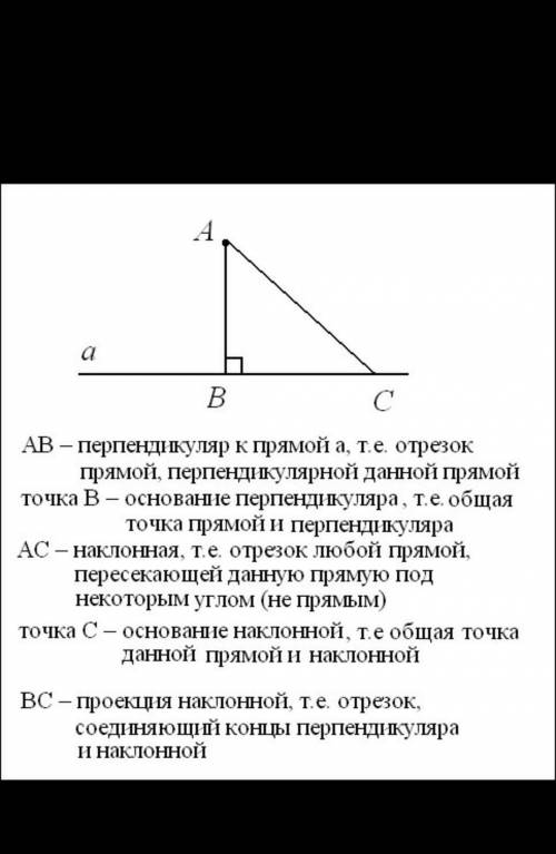 Что такое наклонная, проведенная из данной точки к плоскости? Что такое проекция наклонной