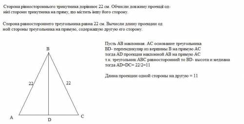 2. Сторона рівностороннього трикутника дорівнює 22 см. Обчисли довжину проекції од-нієї сторони трик