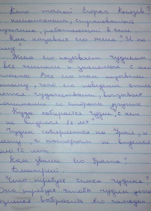 Придумайте и ответьте на 5 во по рассказу Чудик