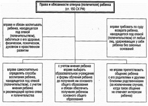 Что обязан делать опекун