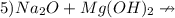 5) Na_{2}O + Mg(OH)_{2} \nrightarrow