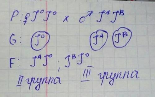 Надо разобрать полностью Задача по биологии Какую группу крови будут иметь дети, если у матери 1 г