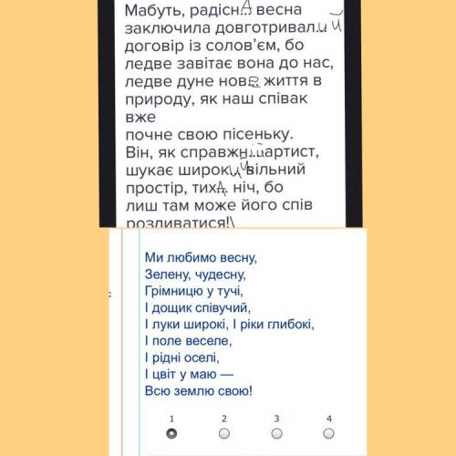 Прочитайте текст, вставте закінчення прикметників. Запишіть текст, закінчення прикметників виділіть