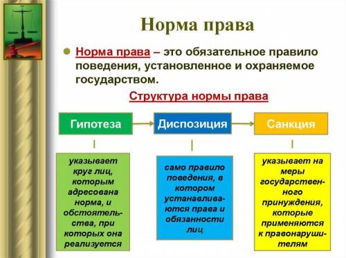 Как различаются виды правовых норм?​