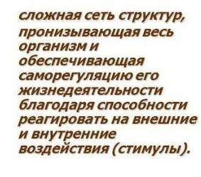 Тема нервная система 1. Строение. 2. значение. 3 Функции.