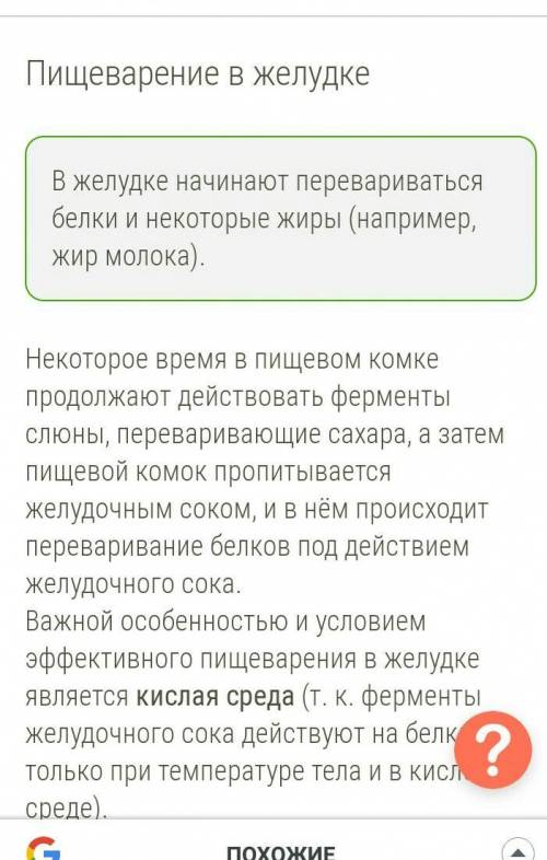 КОНСПЕКТ НА ТЕМУ ПИЩЕВАРЕНИЕ В ЖЕЛУДКЕ И КИШЕЧНИКЕ. ОЧЕНЬ