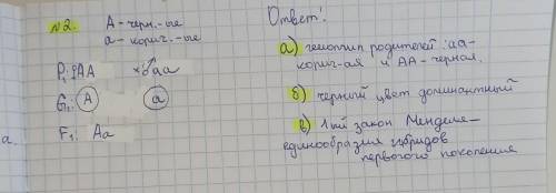 Задачи на законы МенделяПри скрещивании серых (гнедая масть) лошадей с коричневыми в потомстве появл