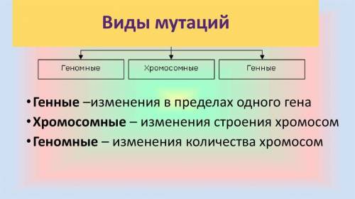 1. В чем основные различия между модифика- циями и мутациями? 2. Какие виды мутаций вы знаете? 3. Че