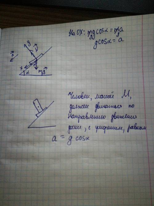 Доска массы M может двигаться без трения по наклонной плоскости с углом наклона a(альфа) к горизонту