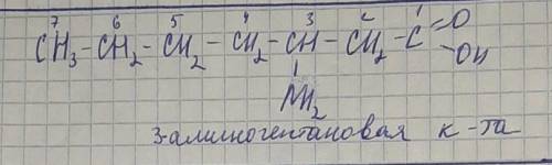 Складіть 3 ізомера до аміногиптанової кислоти