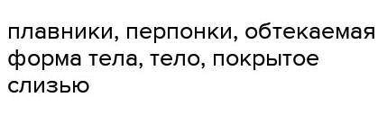 Какие при для активного движения есть у обитателя толщи воды?