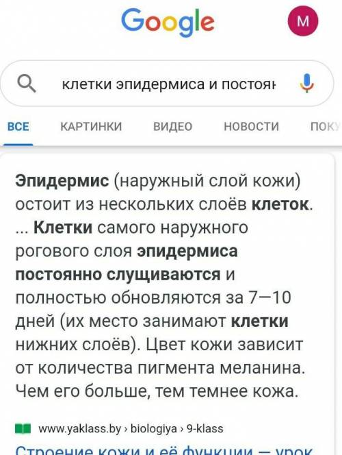 Клетки эпидермиса ... и ... постоянно слущиваются